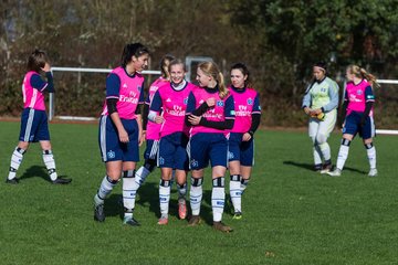 Bild 378 - B-Juniorinnen Halstenbek-Rellingen - Hamburger SV 2 : Ergebnis: 3:8
